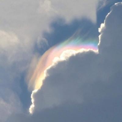 แกงส้ม ธนทัต avatar